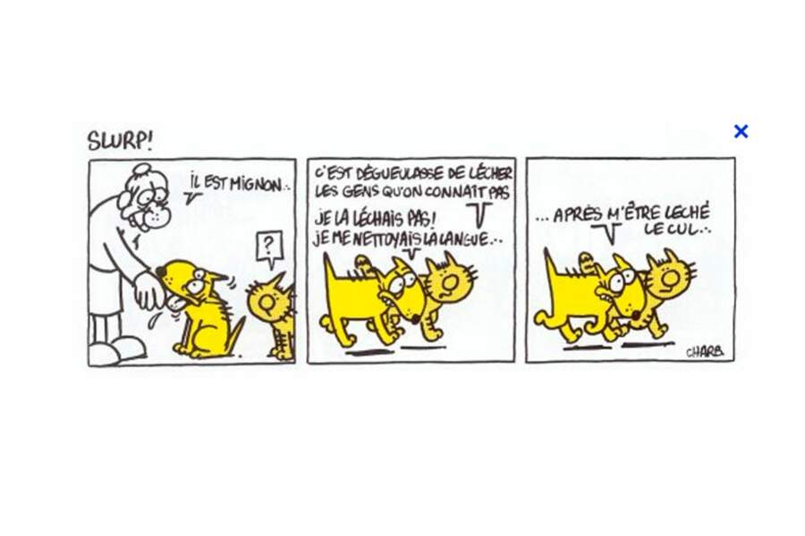 Quelques Dessins De Charb Gala