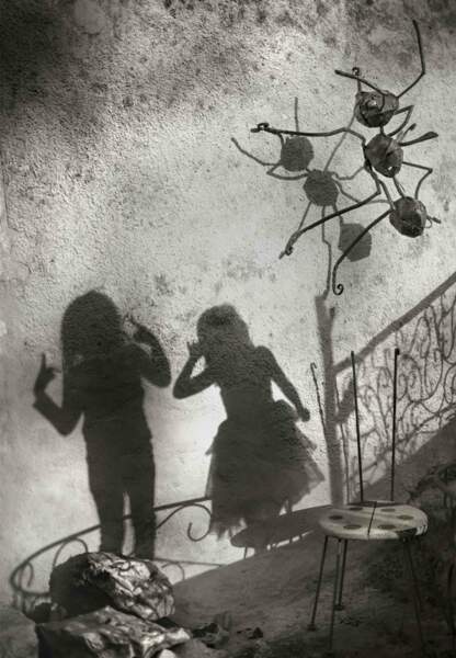 Les Photographies D Alain Laboile Gala