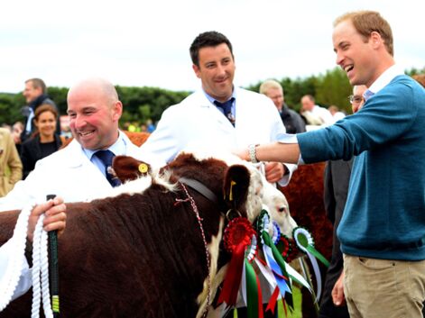 Le prince William à Anglesey