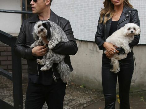 Robbie Williams jamais sans ses chiens en Angleterre