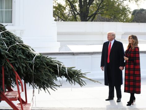 PHOTOS - Melania Trump, la First Lady étincelante devant l'arbre de Noël de la Maison Blanche