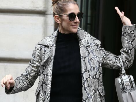 Photos - Céline Dion en total look python à Paris