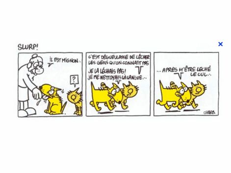 Quelques dessins de Charb