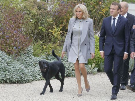 Déséquilibrée par Nemo, Brigitte Macron a manqué de chuter devant ses invités et les photographes.