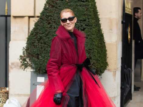 PHOTOS - Céline Dion ultra glamour dans un manteau en tulle Oscar de La Renta