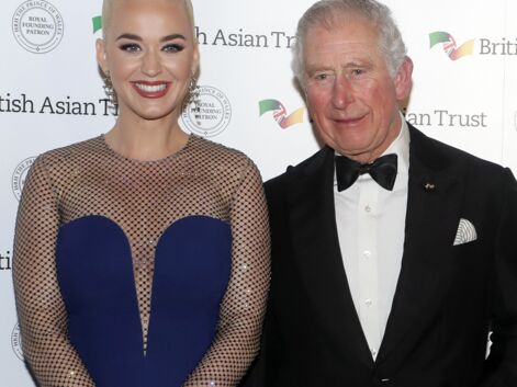 PHOTOS - Cette étonnante mission que le prince Charles a confié à… Katy Perry