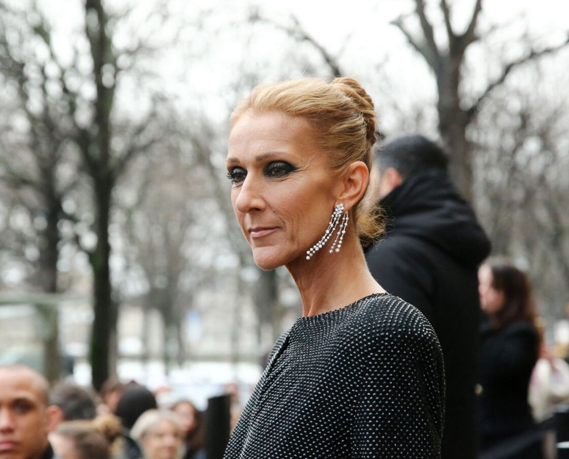 Céline Dion condamnée à rembourser des millions sa contreattaque