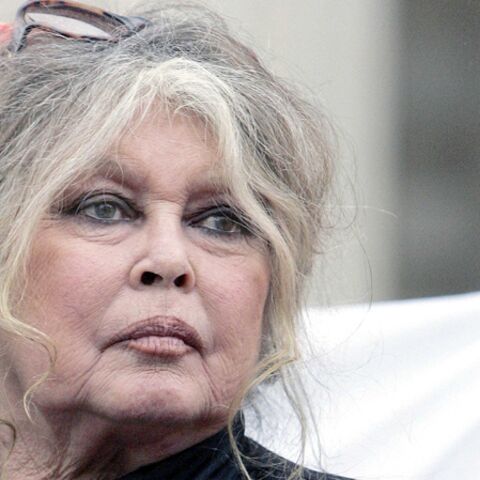 Brigitte Bardot A Perdu Son Chat Gala