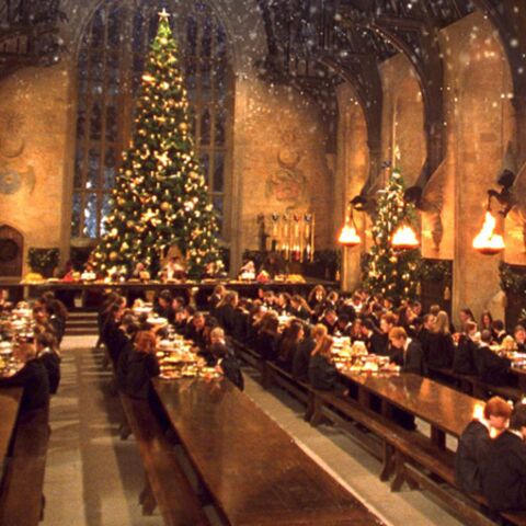 Harry Potter Entre Au Musee Gala