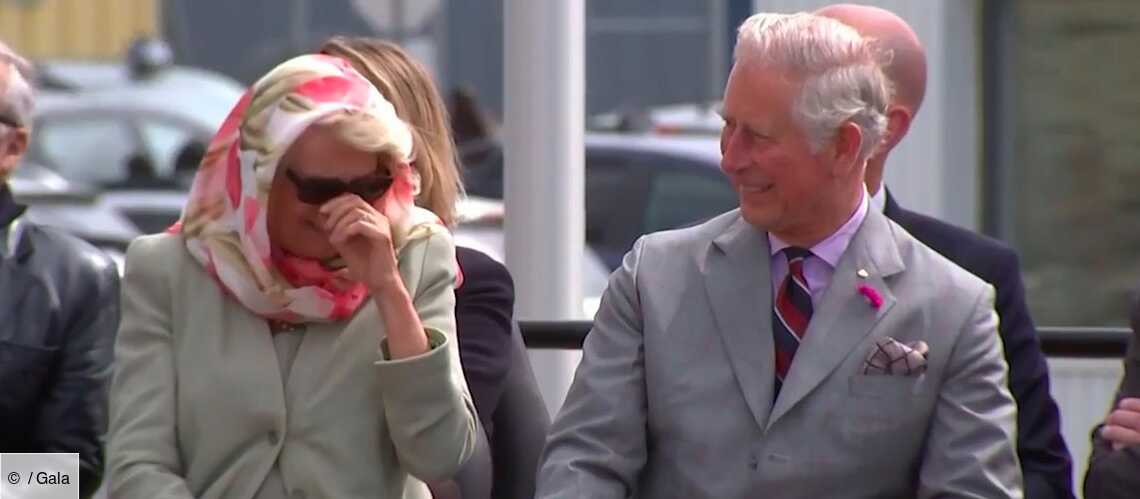 VIDEO- Le prince Charles et Camilla, victimes d'un fou ...