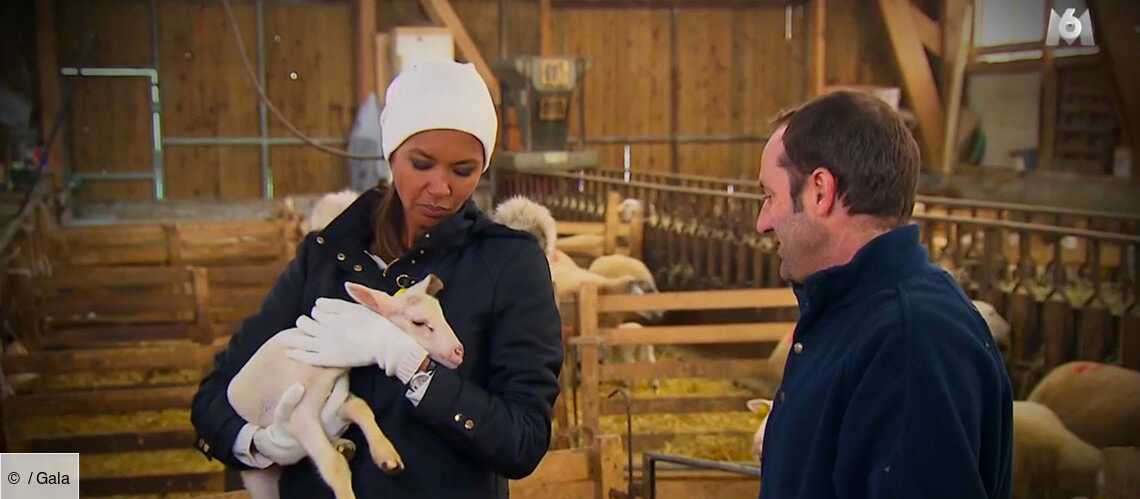 L'amour Est Dans Le Pré Saison 16 épisode 12 L'amour Est Dans Le Pr? Brigitte - behwound