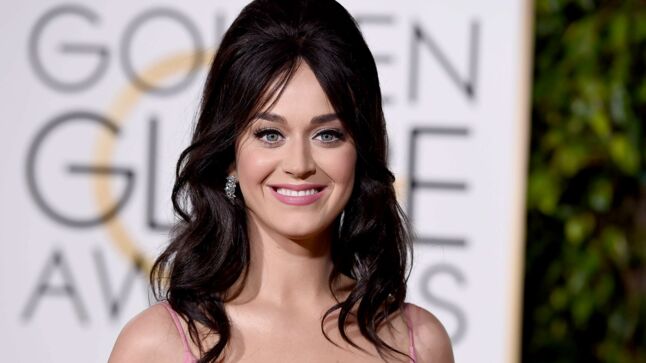 Musique De Rouille Et D Os Katy Perry Jean Dujardin triomphe aux Golden Globes - Gala