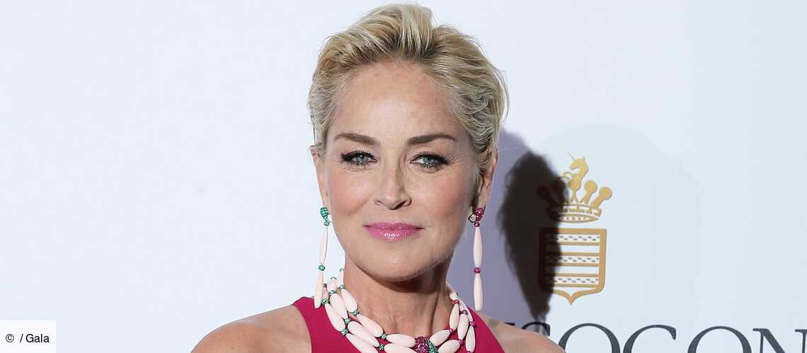 Cannes 2014 : Sharon Stone, Rosario Dawson à la soirée De Grisogono - Gala