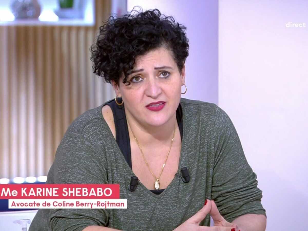 VIDÉO - Affaire Richard Berry : La simple reconnaissance des faits suffit à Coline Berry