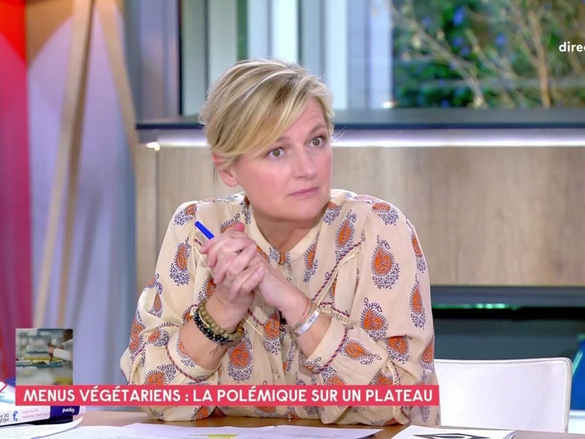 VIDÉO - Les Verts sont des peine-à-jouir : Jordan Bardella sonne Anne-Élisabeth Lemoine