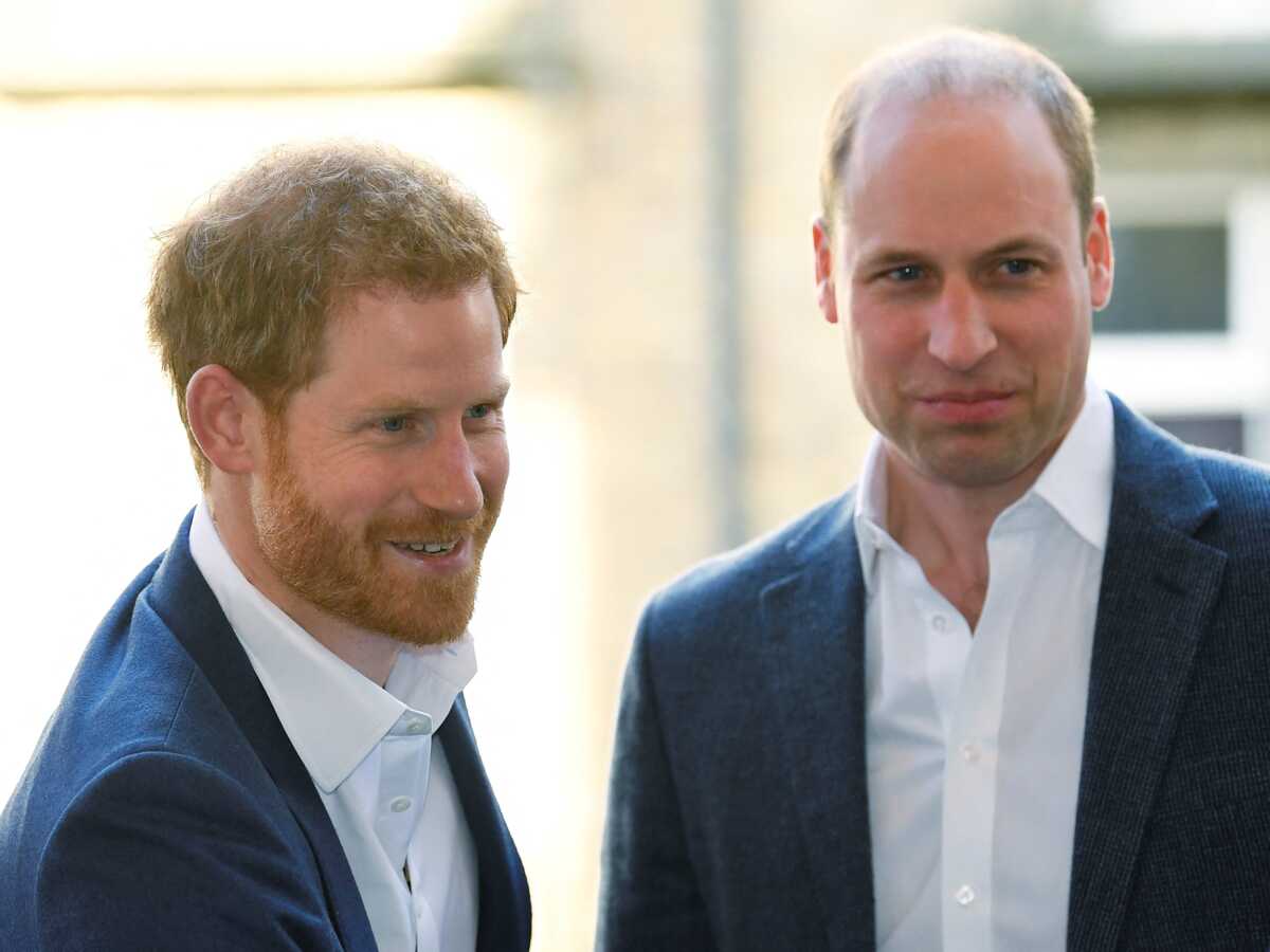 Les conversations privées de Harry et William dévoilées par une amie de Meghan : une stratégie qui interroge