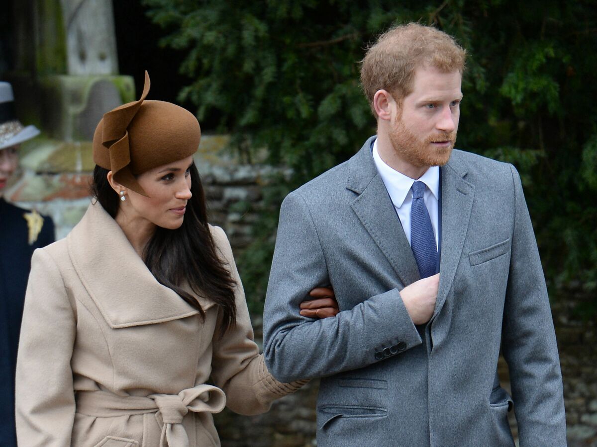 Meghan Markle et Harry : un célèbre acteur britannique à leur rescousse