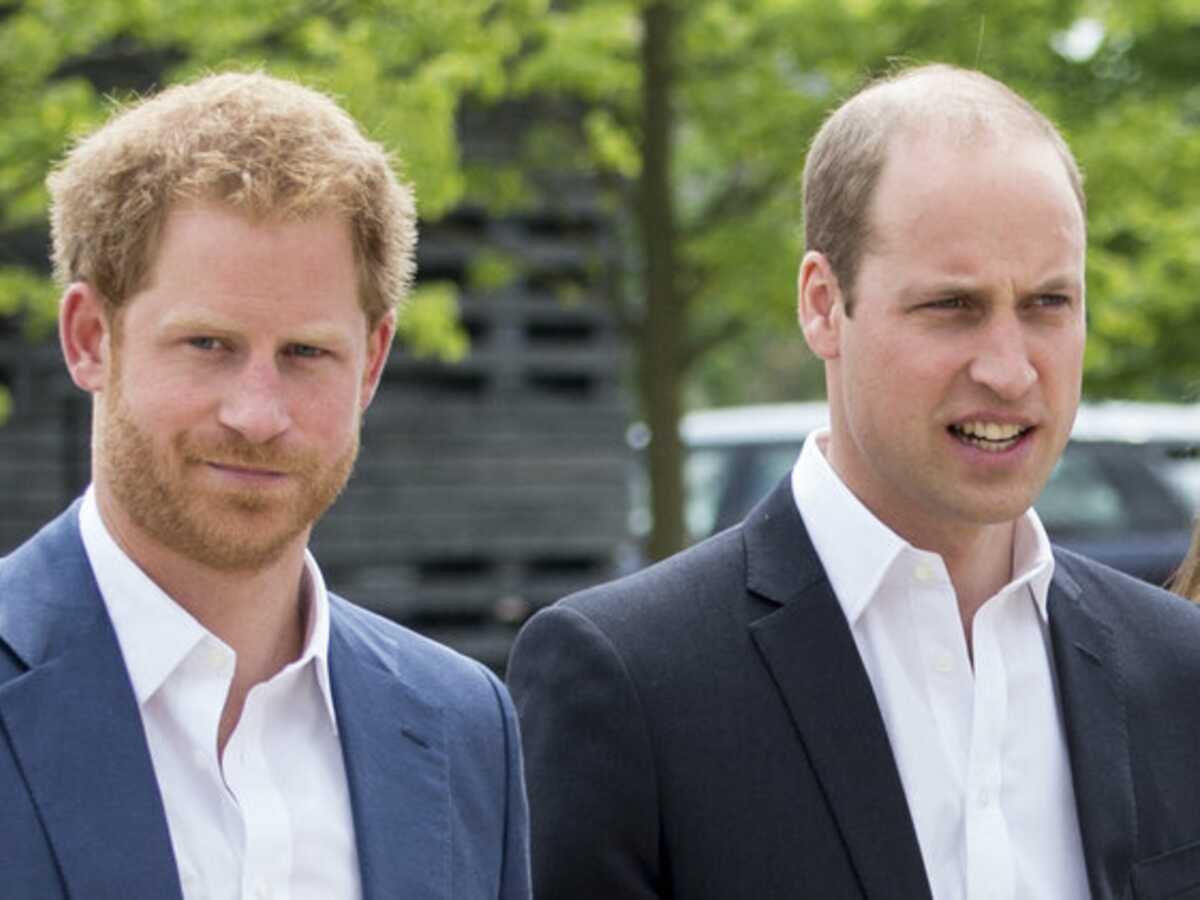 Harry absent de l'hommage à Diana ? Ce nouveau coup de poignard à William