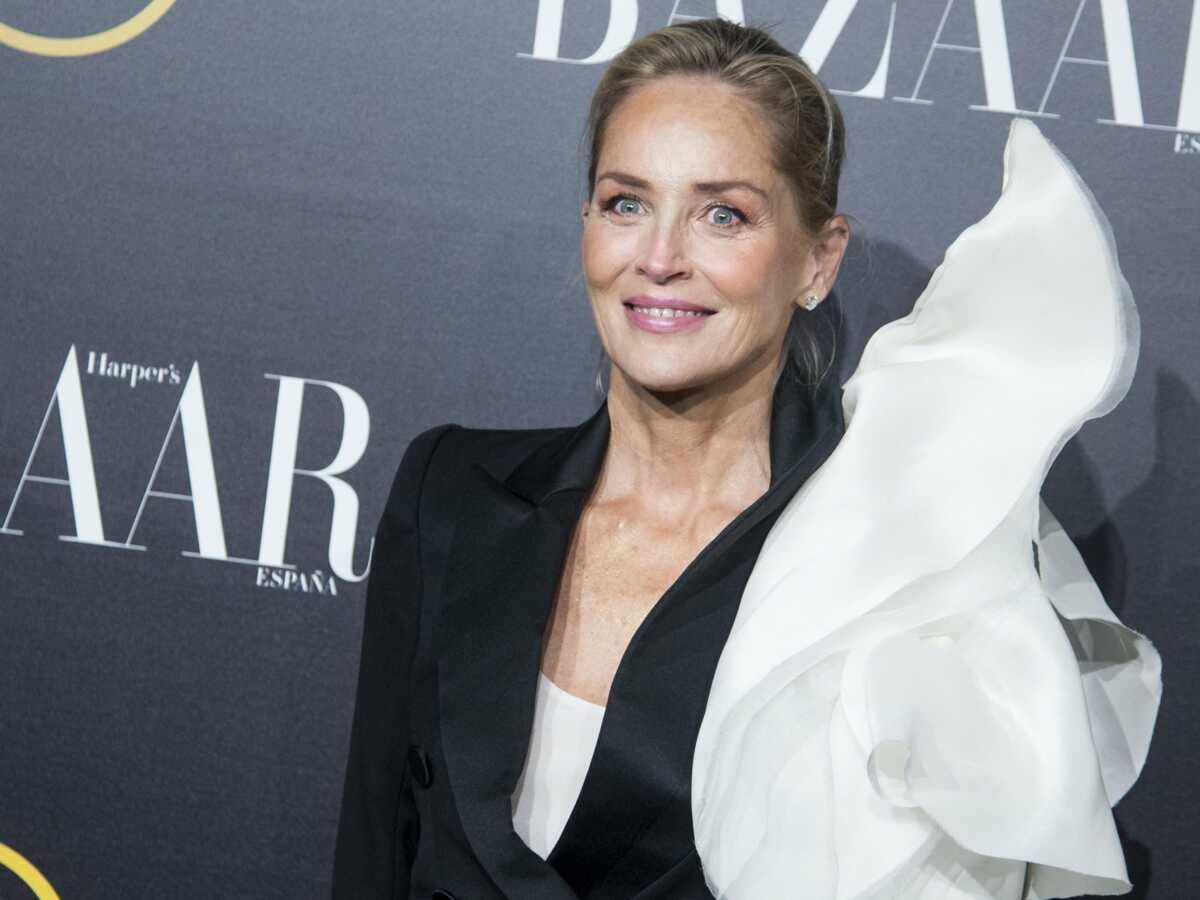 PHOTO - Sharon Stone fait craquer ses fans : cette robe qui lui va à ravir dix ans après