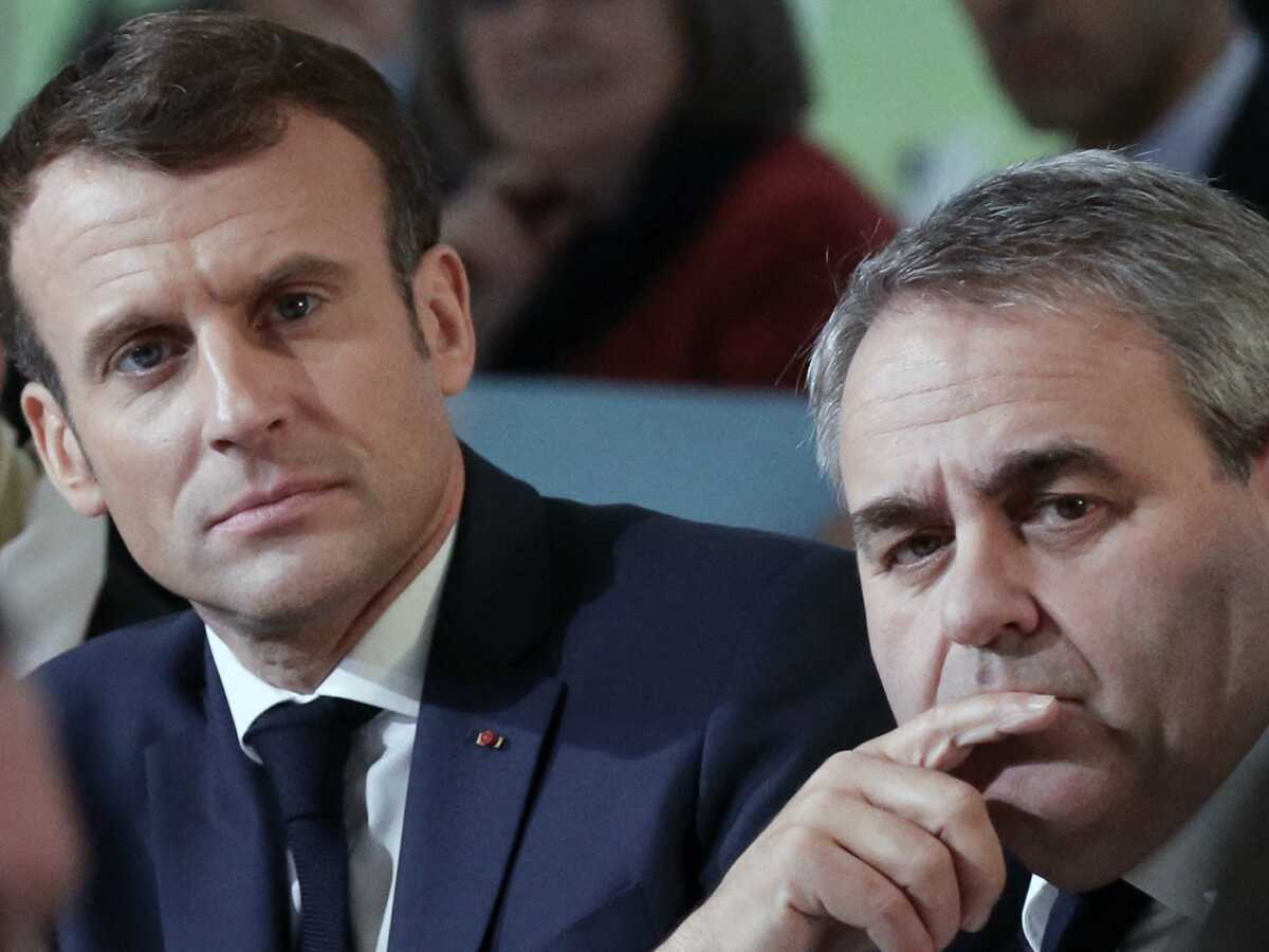 Emmanuel Macron giflé : cette phrase gênante de Xavier Bertrand