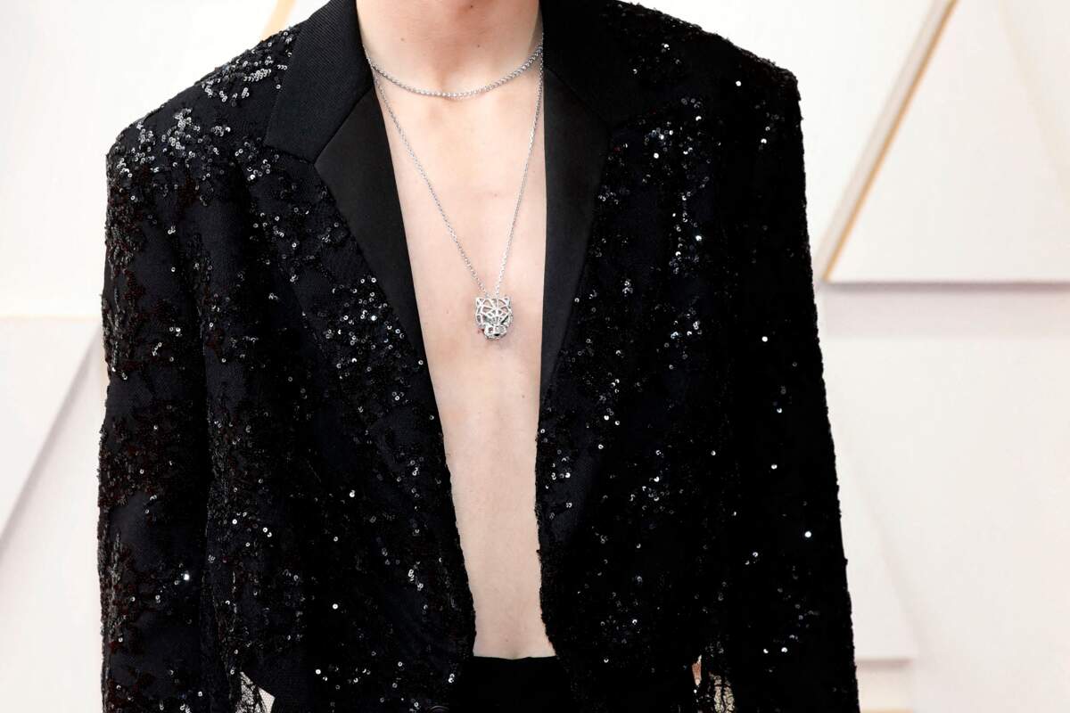 Photos Timothée Chalamet Adore La Mode Ses Looks Les Plus Marquants Gala