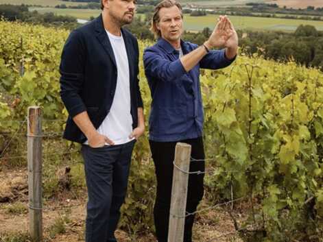 PHOTOS - De Leonardo Di Caprio à Nicolas Sarkozy, ces stars qui ont investi dans le vin