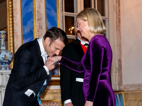 PHOTOS - Les plus belles tenues du dîner d'état organisé par la famille royale de Suède en l'honneur de Brigitte et Emmanuel Macron