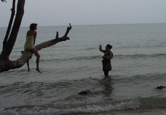 Perchée sur son arbre, Halcyon Powe s'amuse au dessus des eaux de la plage de Kai Bae
