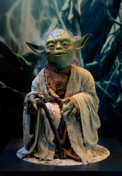 Quand 800 ans comme Yoda tu auras, la sagesse tu acquèreras