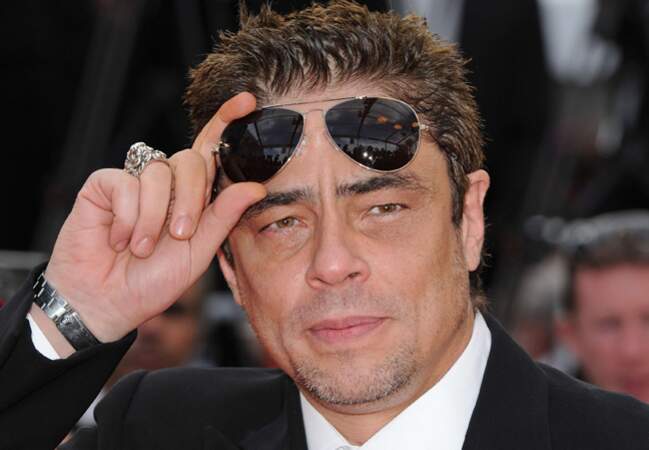 Benicio del Toro est venu à Cannes en 2010 avec Wall Street l'argent ne dort jamais