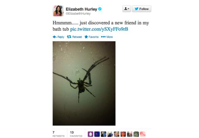 @elizabethhurley se bat contre une araignée
