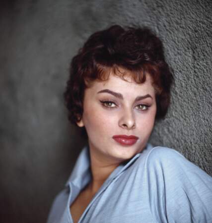 Coupe courte et bouclée, Sophia Loren plante son regard ourlé de khôl dans l’objectif
