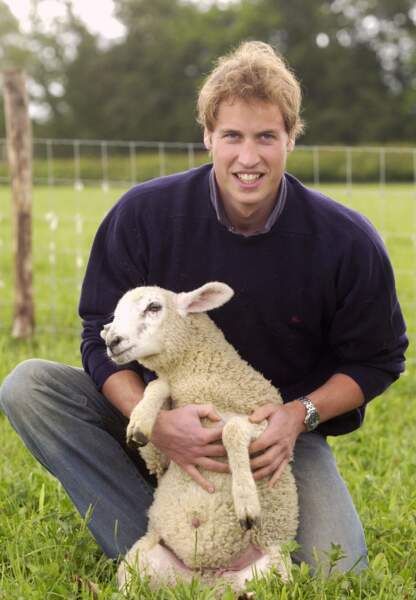 Le prince William n'a pas envie de se comporter comme un mouton