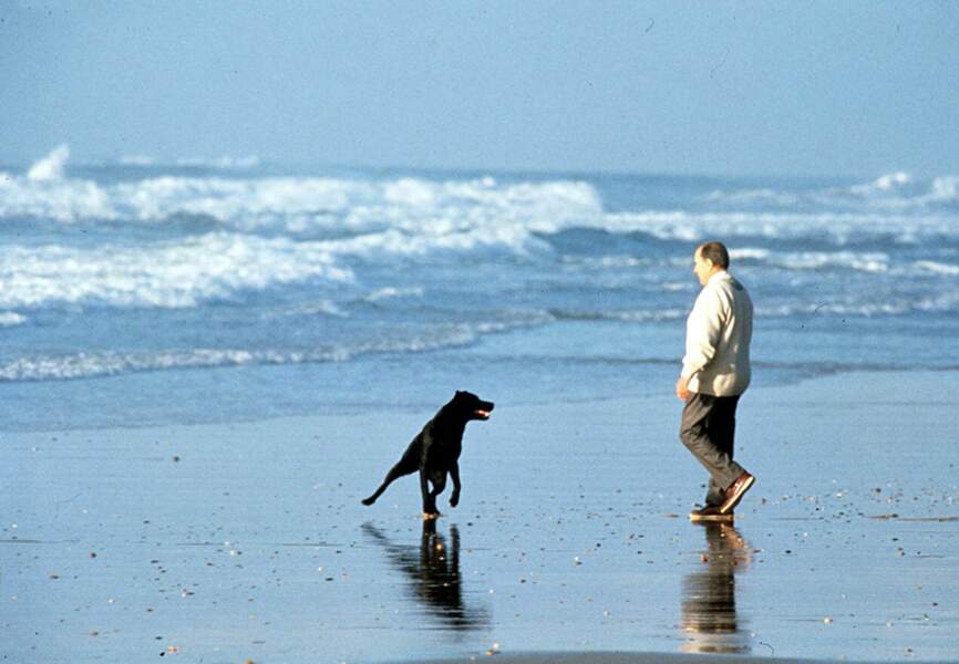 François Mitterrand profite de la plage avec son chien Baltique en 1991