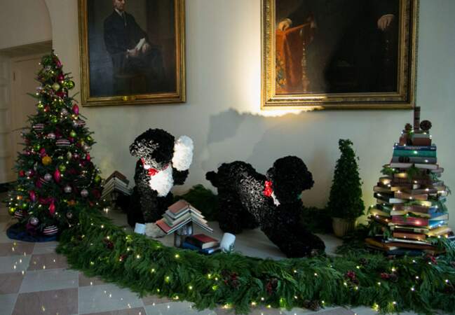Bo et Sunny les chiens en décoration de Noël
