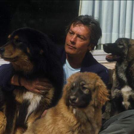 Alain Delon comme Brigitte Bardot préfère la compagnie de ses chiens à celles des Hommes
