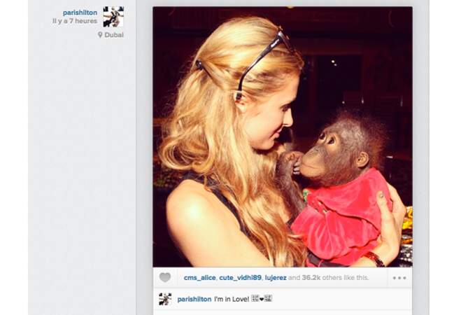 Paris Hilton est tombée sous le charme de Dior, le singe