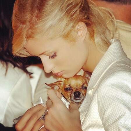 Paris Hilton a adopté deux nouveaux chihuahuas, mais était très attachée à Tinkerbell morte en avril