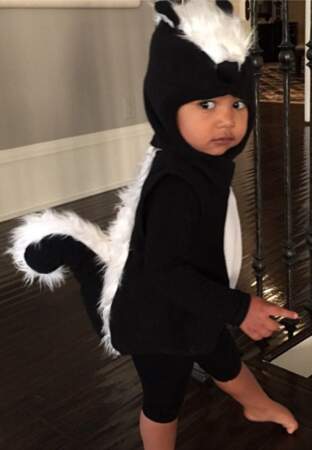 Pour l'occasion, la fille de Kim Kardashian et Kanye West a choisi de se déguiser en Pépé le putois