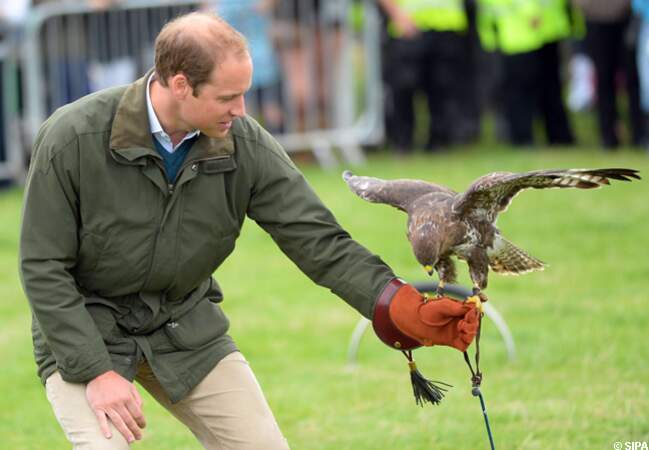 Prince William, dresseur d'aigle