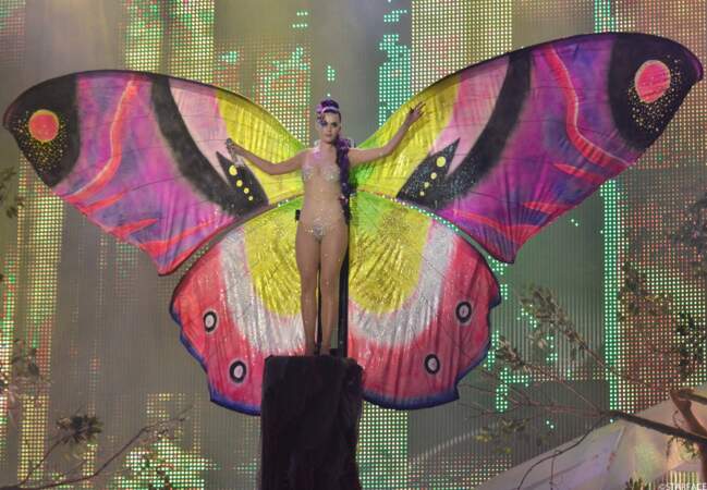 Etoile ou papillon, Katy nous éblouit