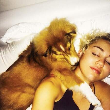 Miley Cyrus et son chien, Emu