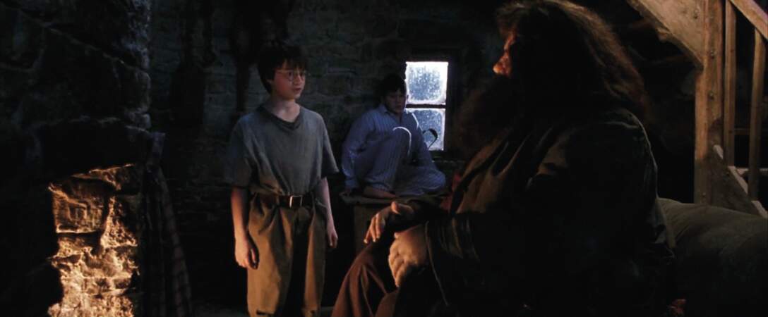 Harry Potter à l'école des sorciers ( 2001)