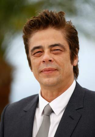 Benicio Del Toro se charge de la voix américaine