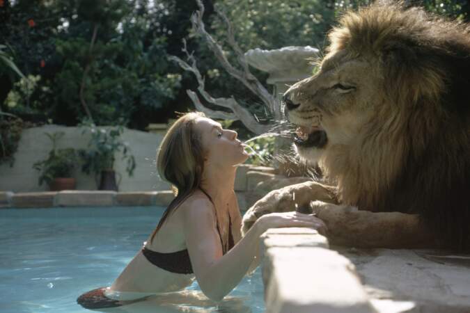 Tippi Hedren et son lion, Neil