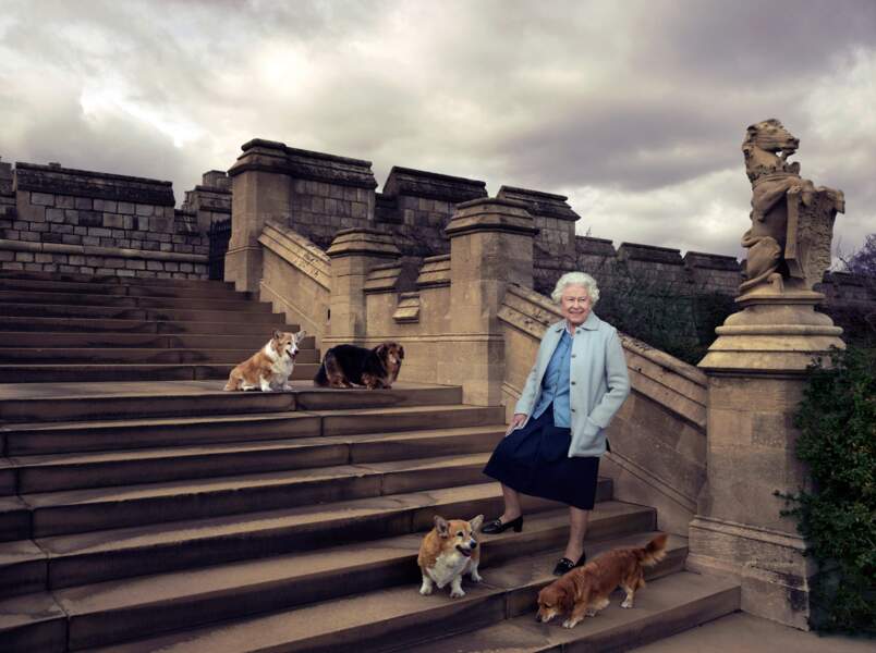 La reine et quatre de ses chiens au château de Windsor