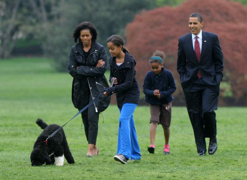 Le 5ème membre de la famille Obama, le petit chien Bo