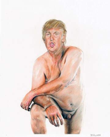 L'artiste Illma Gore a réalisé l'oeuvre "Make America Great Again", un portrait peu élogieux de Donald Trump