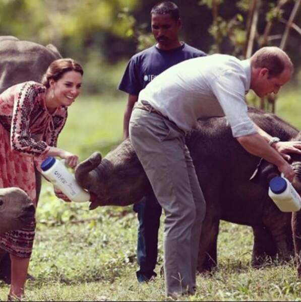 Kate et William ont pu nourrir des éléphants pendant leur voyage en Inde