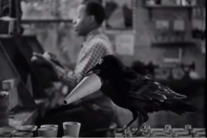 Jimmy le corbeau dans "Vous ne l'emporterez pas avec vous" de Frank Capra